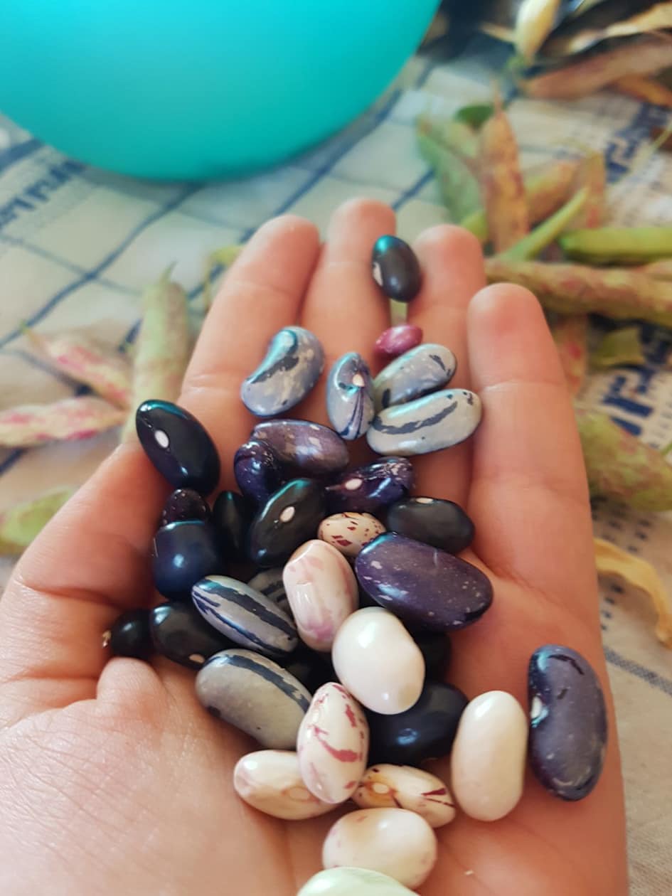 Fagioli